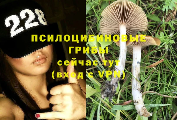 гидра Новозыбков