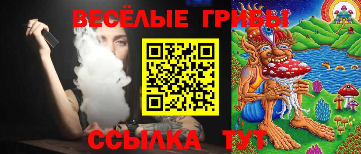 Галлюциногенные грибы Psilocybine cubensis  Псилоцибиновые грибы прущие грибы  Вход с VPN  Уфа 